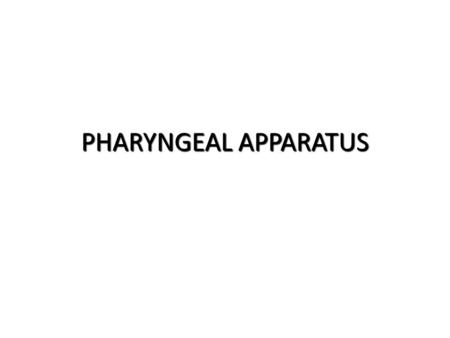 PHARYNGEAL APPARATUS.