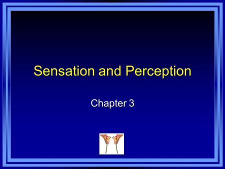 Sensation and Perception