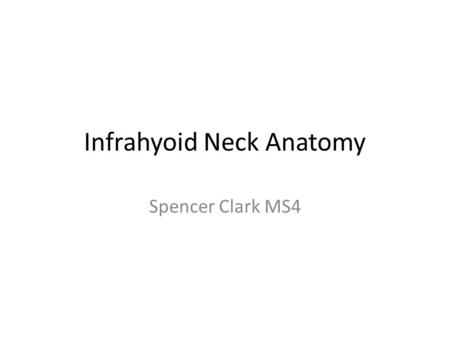 Infrahyoid Neck Anatomy