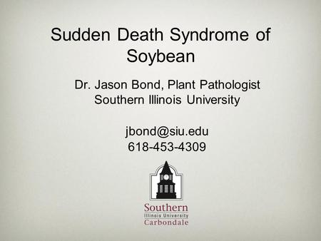 Sudden Death Syndrome of Soybean