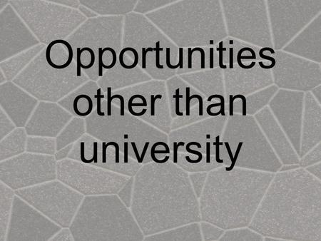 Opportunities other than university. What is on offer other than degrees? Employment Gap year activities Further Education Part time study Volunteer work.