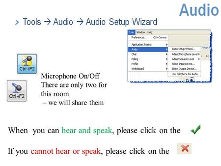 ©Marian Small, 2011 When you can hear and speak, please click on the If you cannot hear or speak, please click on the Microphone On/Off There are only.