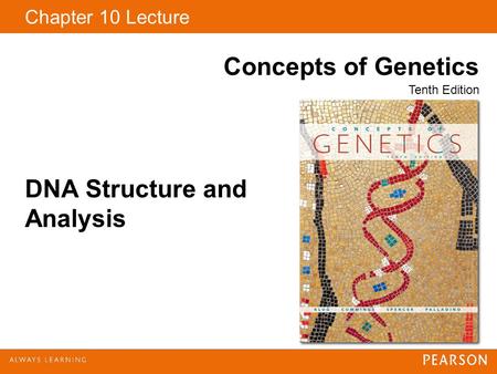 DNA Structure and Analysis