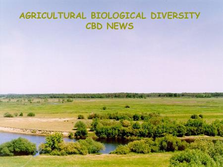 AGRICULTURAL BIOLOGICAL DIVERSITY CBD NEWS. SBSTTA 10 Recommendations Bangkok, February 2005 Elżbieta Martyniuk National Focal Point POLAND.