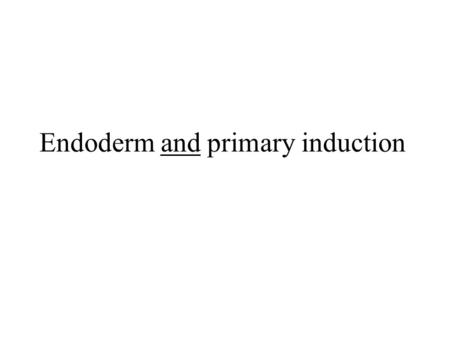 Endoderm and primary induction. Human.