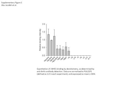 Supplementary Figure 1 Abu Jawdeh et al. Quantitation of cNHE1 binding by densitometry, as determined by anti-6xHis antibody detection. Data are normalized.