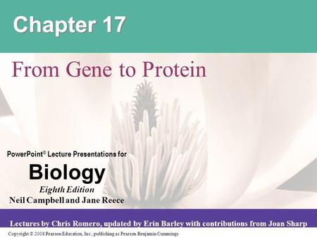 Chapter 17 From Gene to Protein.