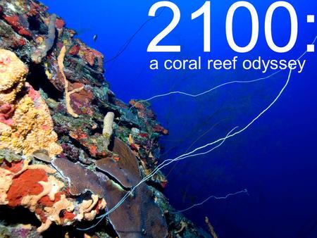 2100: a coral reef odyssey. NOAA USGS Agent (optional) Disease, Morbidity, Mortality Environment Coral holobiont (host)