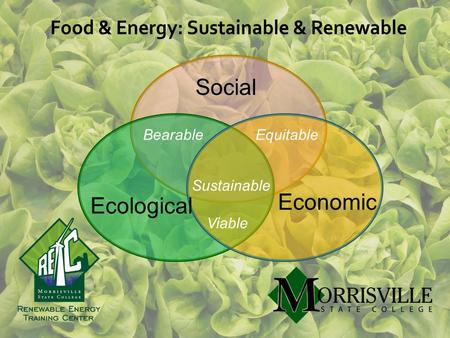 Food & Energy: Sustainable & Renewable