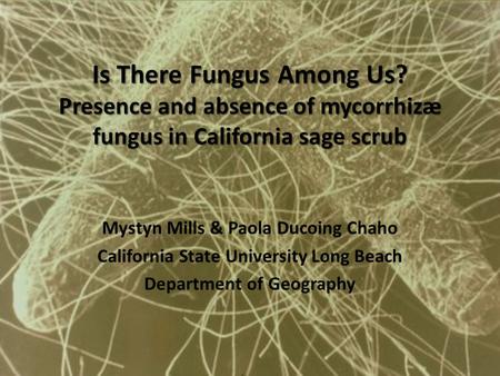 Is There Fungus Among Us? Presence and absence of mycorrhizæ fungus in California sage scrub Mystyn Mills & Paola Ducoing Chaho California State University.