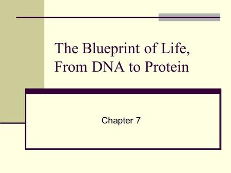 The Blueprint of Life, From DNA to Protein