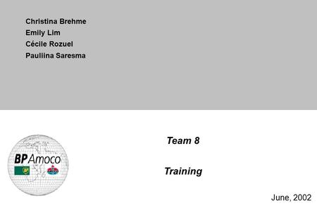 Team 8 Training June, 2002 Christina Brehme Emily Lim Cécile Rozuel Pauliina Saresma.