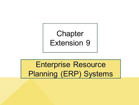 Enterprise Resource Planning (ERP) Systems