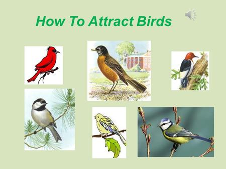 How To Attract Birds Three Ways To Attract 1)Install a Bird Feeder Outside In Your Yard You may need to install several feeders to cater to the variety.