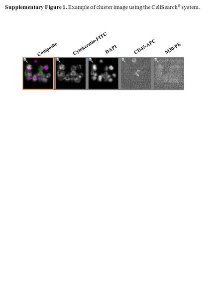 Supplementary Figure 1. Example of cluster image using the CellSearch ® system. Composite DAPI Cytokeratin-FITC M30-PE CD45-APC.