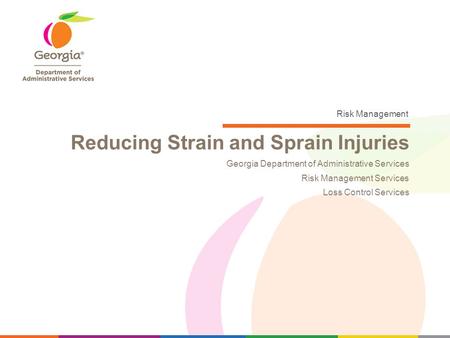 Risk Management Georgia Department of Administrative Services Risk Management Services Loss Control Services Reducing Strain and Sprain Injuries.