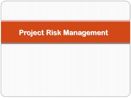 Project Risk Management