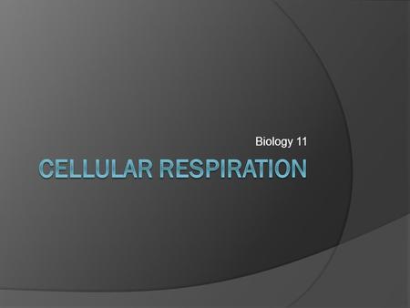 Biology 11. Cellular Respiration  Occurs in every cell in your body  Converts glucose to ATP (Adenosine triphosphate)  ATP =Energy currency for most.