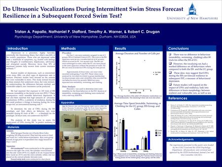 Do Ultrasonic Vocalizations During Intermittent Swim Stress Forecast Resilience in a Subsequent Forced Swim Test?  There was no difference in behaviour.