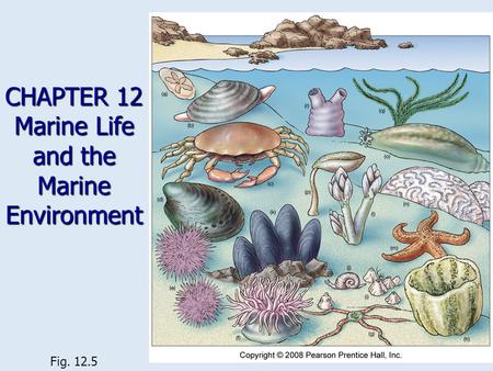 CHAPTER 12 Marine Life and the Marine Environment