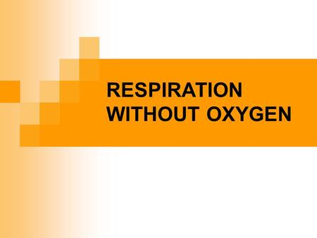 RESPIRATION WITHOUT OXYGEN. ANAEROBIC RESPIRATION Obligate anaerobes: Primitive bacteria (e.g. Clostridium) for them O 2 is poisonous Facultative anaerobes: