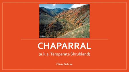 (a.k.a. Temperate Shrubland) Olivia Gehrke