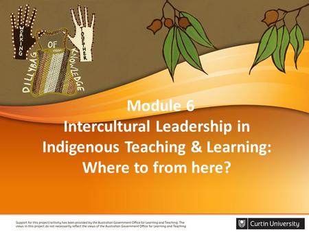 Module 6 Intercultural Leadership in Indigenous Teaching & Learning: Where to from here?