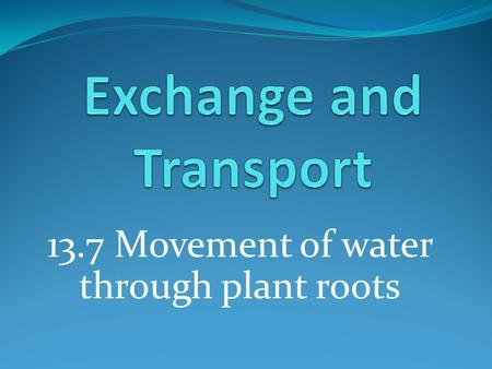 Exchange and Transport