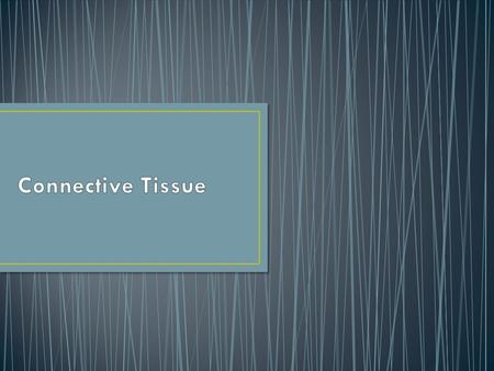 General Characteristics 1.Does have blood vessels- variations in blood supply (ligaments and tendons don’t heal as fast because they are poorly vascularized)