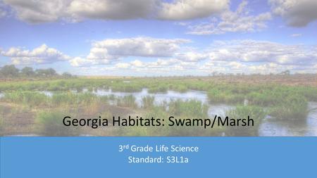 Georgia Habitats: Swamp/Marsh