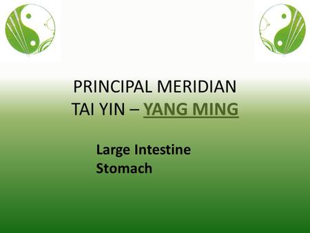 PRINCIPAL MERIDIAN TAI YIN – YANG MING