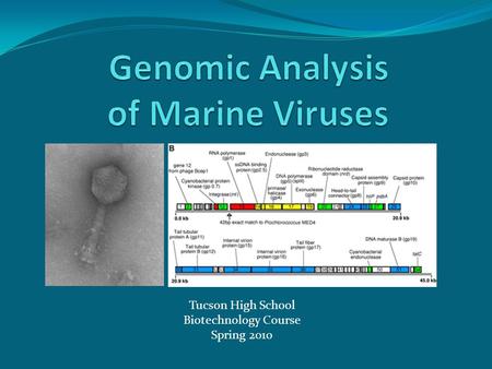 Tucson High School Biotechnology Course Spring 2010.