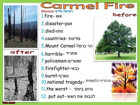 Glossary- רשימת מלים 1.fire- אש 2.disaster- אסון 3.died- מתו 4.countries- מדינות 5.Mount Carmel- הר כרמל 6.horrible- מחריד 7.policemen- שוטרים 8.firefighter-