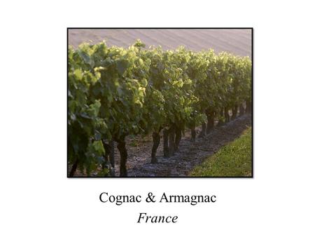 Cognac & Armagnac France. Cognac, France Cognac: France’s best-known brandy Peaceful countryside 100 miles north of Bordeaux Medieval town with elegant.