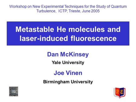 Joe Vinen Workshop on New Experimental Techniques for the Study of Quantum Turbulence, ICTP, Trieste, June 2005 Metastable He molecules and laser-induced.