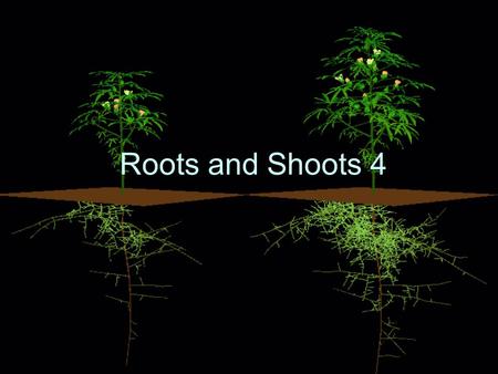 Roots and Shoots 4. And no one pours new wine into old wineskins. If he does, the new wine will burst the skins, the wine will run out and the wineskins.