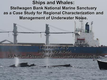 Ships and Whales: Stellwagen Bank National Marine Sanctuary as a Case Study for Regional Characterization and Management of Underwater Noise. Leila Hatch,