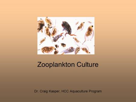 Dr. Craig Kasper, HCC Aquaculture Program