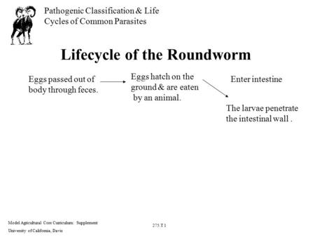 Model Agricultural Core Curriculum: Supplement University of California, Davis 275.T 1 Pathogenic Classification & Life Cycles of Common Parasites Lifecycle.