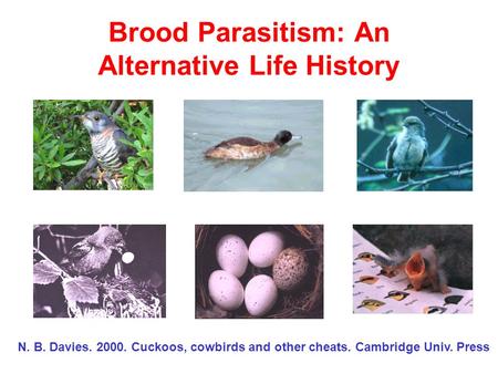 Brood Parasitism: An Alternative Life History N. B. Davies. 2000. Cuckoos, cowbirds and other cheats. Cambridge Univ. Press.