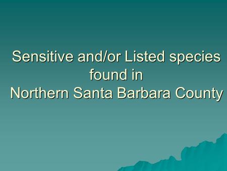 Sensitive and/or Listed species found in Northern Santa Barbara County.