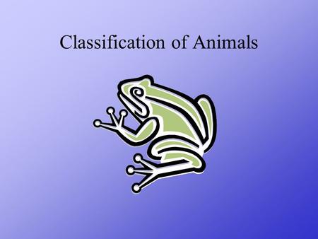 Classification of Animals