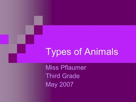 Miss Pflaumer Third Grade May 2007