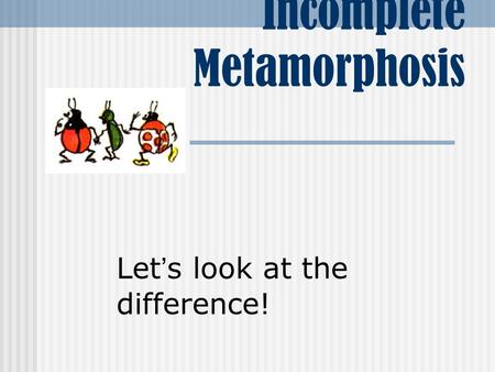 Complete and Incomplete Metamorphosis