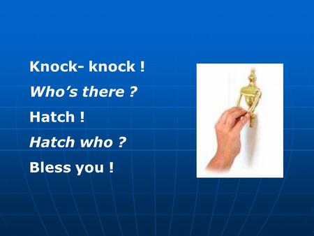 Knock- knock ! Who’s there ? Hatch ! Hatch who ? Bless you !