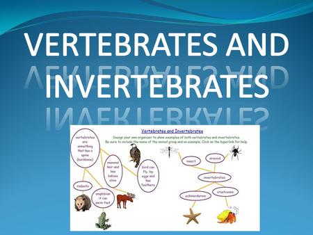 VERTEBRATES AND INVERTEBRATES