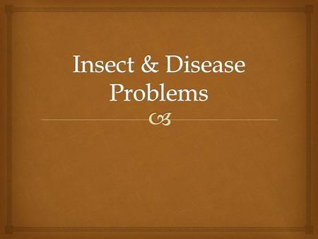   Insects and disease can threaten tree health. As soon as you notice any abnormalities in your tree’s appearance, you should begin a careful examination.