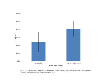 Figure 1a. Average number of eggs laid by female bean beetles (with and without access to water) on mung beans. A total of 6 independent trials were performed.