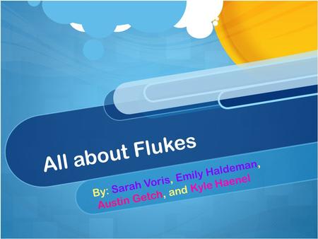 All about Flukes By: Sarah Voris, Emily Haldeman, Austin Getch, and Kyle Haenel.