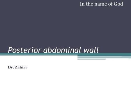 Posterior abdominal wall